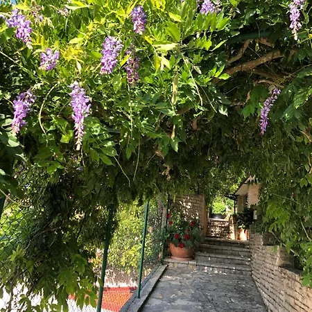 Apartmán Goga