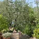 Goga Lägenhet *