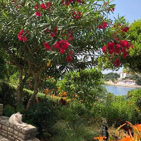 Goga Апартаменти *