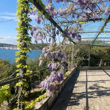 Goga Апартаменти