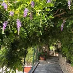 Appartement Goga